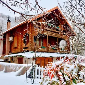 Hotel Paradise, Dajt